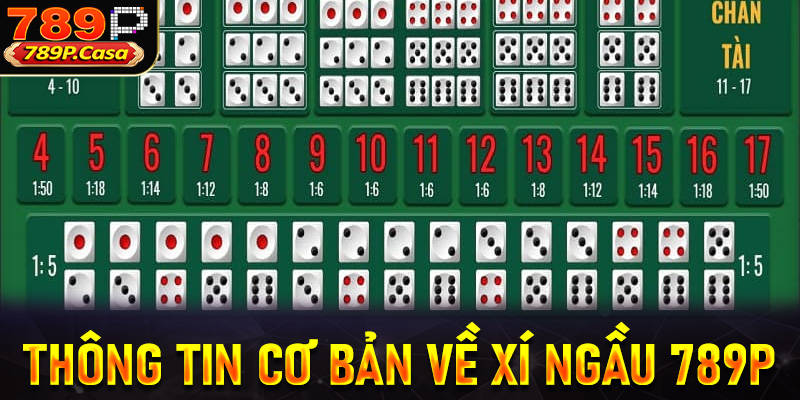 Một vài thông tin cơ bản về xí ngầu 789P